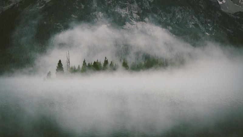 鲍鱼网站品牌故事主视觉：深海鲍鱼海洋牧场
